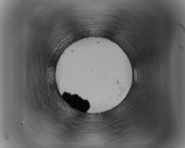 X0000100871107200807111311