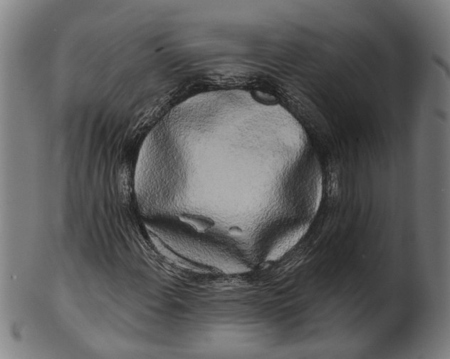 X0000100871108200807111311