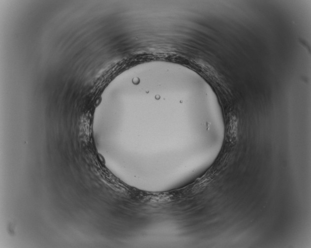 X0000100871110200807111311