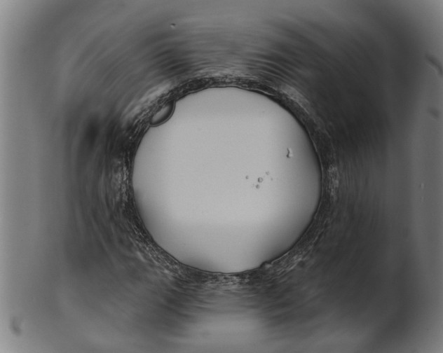 X0000100871111200807111311