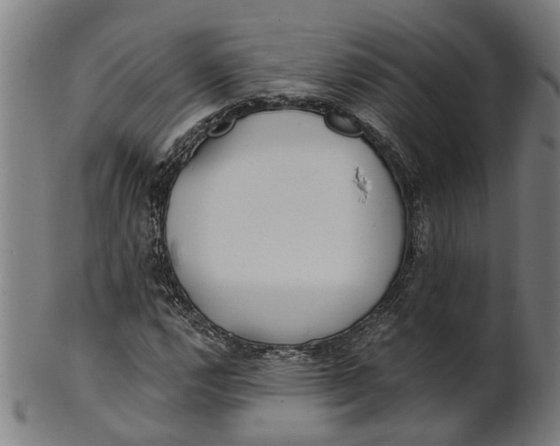 X0000100871112200807111311