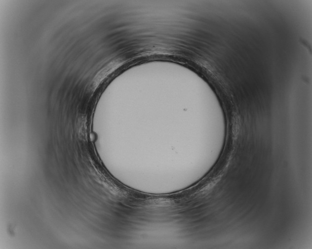 X0000100871113200807111311