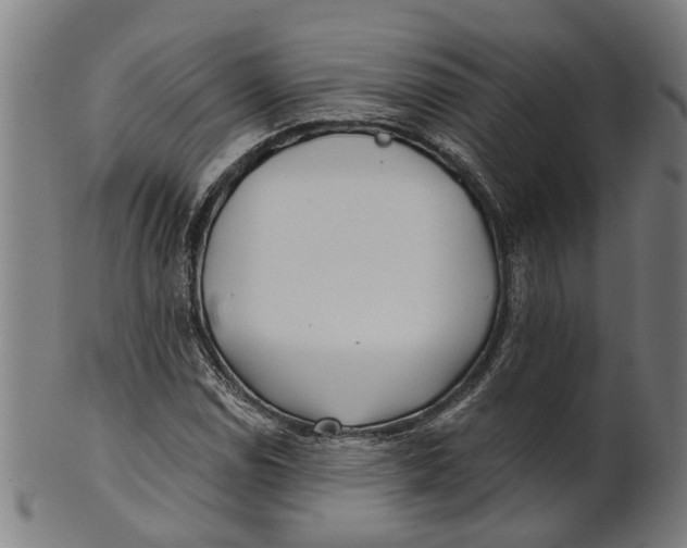 X0000100871114200807111311