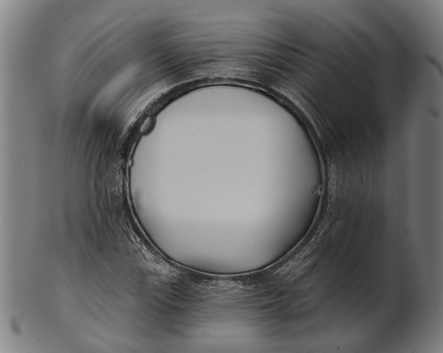 X0000100871115200807111311