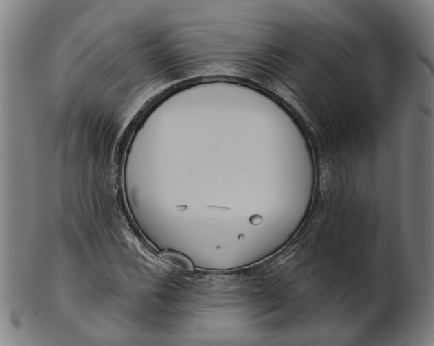 X0000100871116200807111311