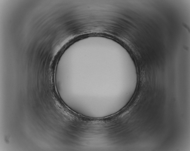 X0000100871118200807111311