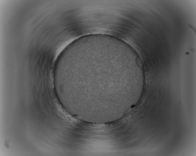 X0000100871120200807111311