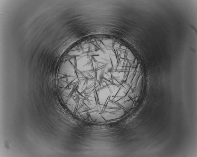 X0000100871121200807111311