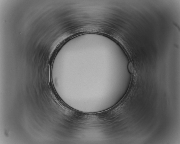 X0000100871123200807111311