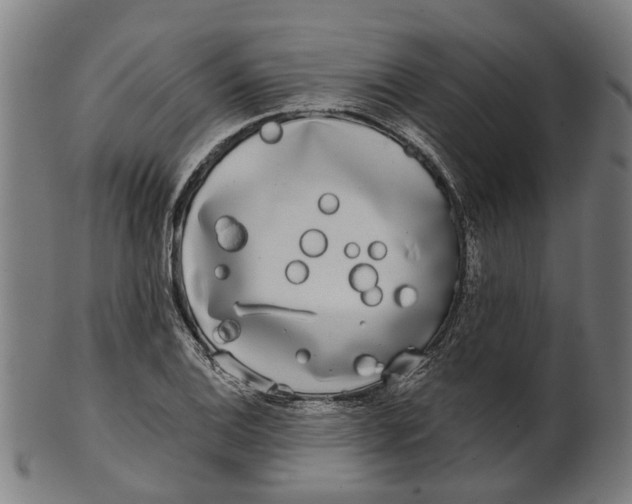 X0000100871124200807111311