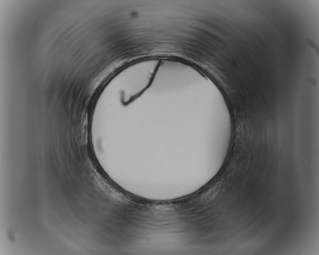 X0000100871126200807111311