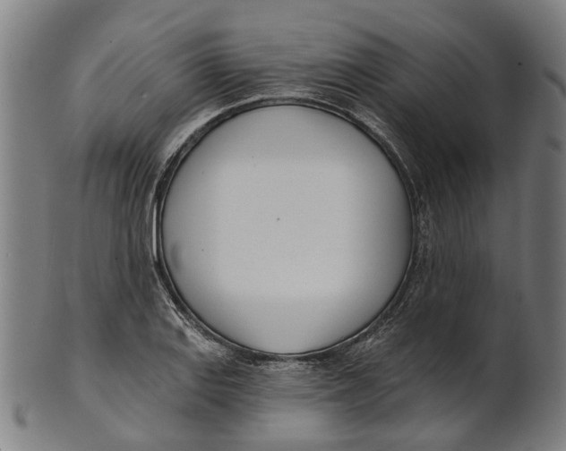 X0000100871127200807111311