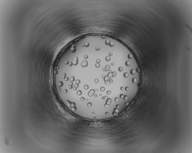 X0000100871128200807111311