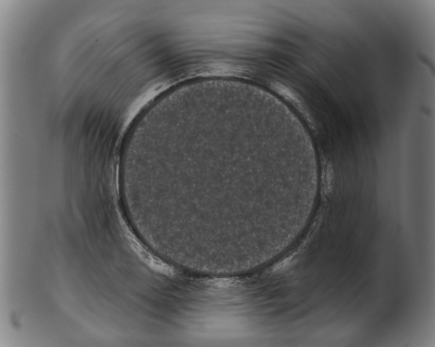 X0000100871130200807111311