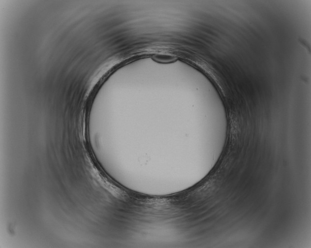 X0000100871131200807111311