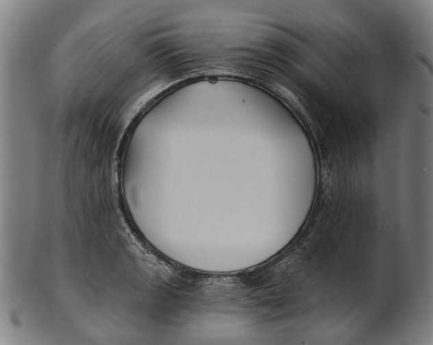 X0000100871133200807111311