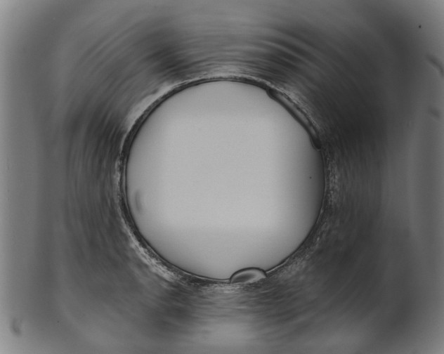 X0000100871134200807111311