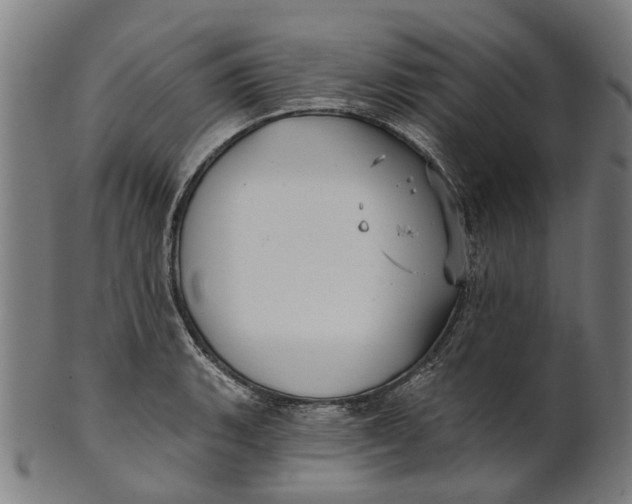 X0000100871135200807111311