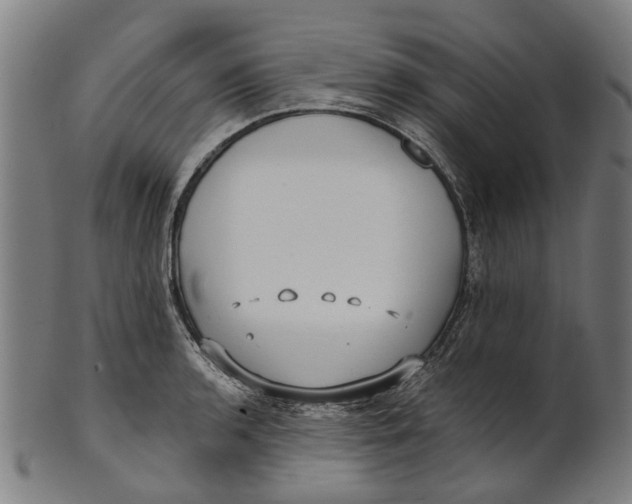 X0000100871136200807111311