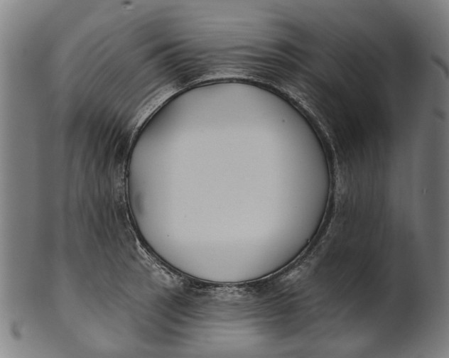 X0000100871137200807111311