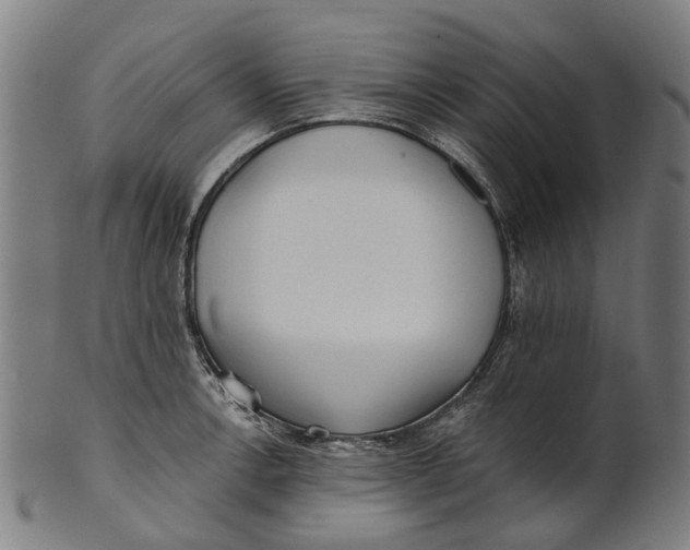 X0000100871138200807111311