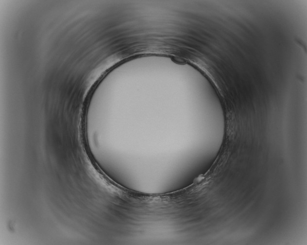 X0000100871139200807111311