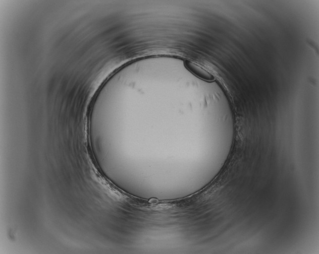 X0000100871140200807111311