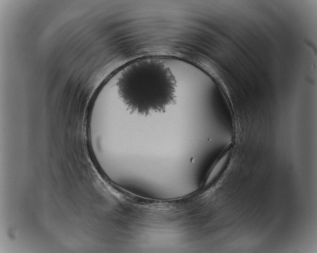 X0000100871141200807111311