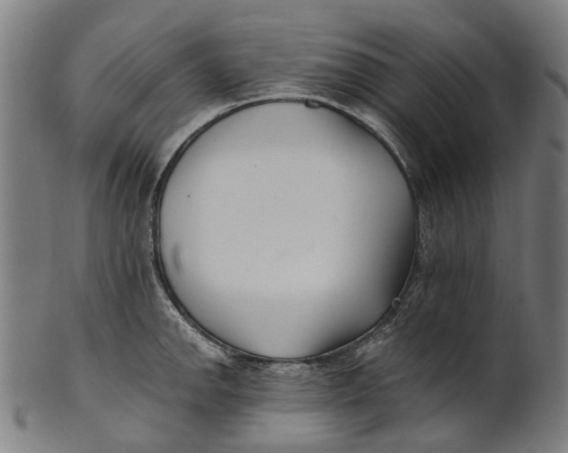 X0000100871142200807111311