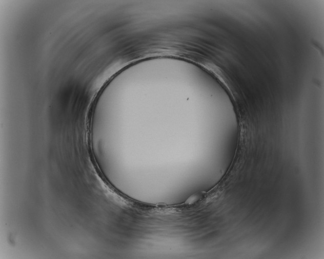 X0000100871143200807111311