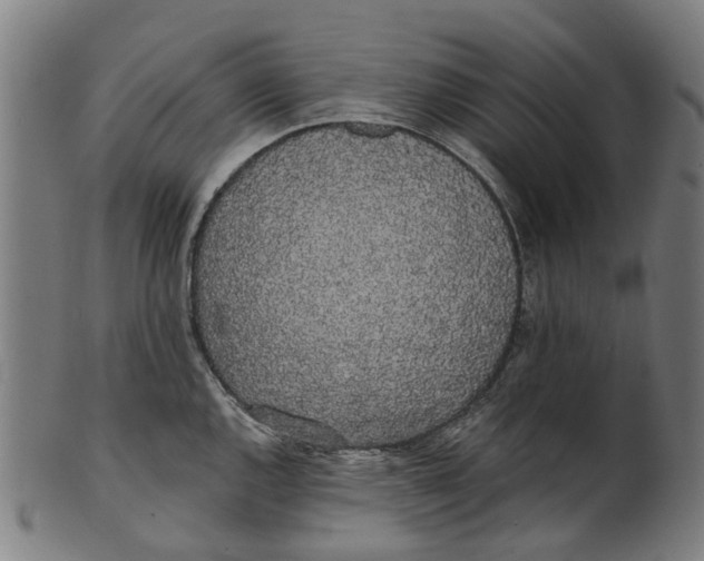 X0000100871144200807111311