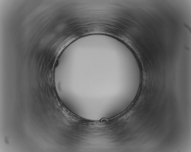 X0000100871145200807111311