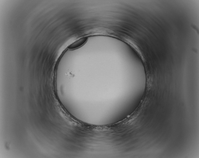 X0000100871146200807111311