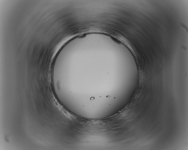 X0000100871148200807111311