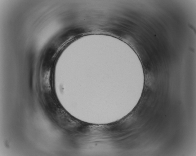 X0000100871150200807111311