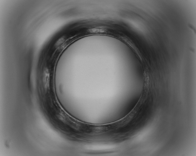 X0000100871151200807111311