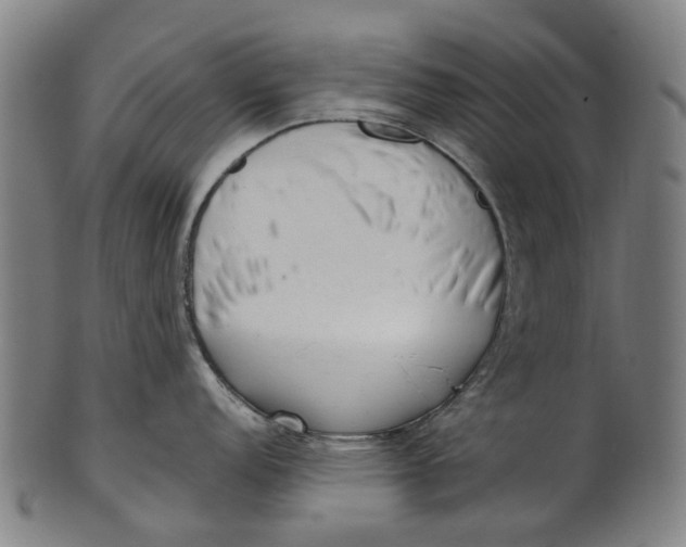 X0000100871152200807111311