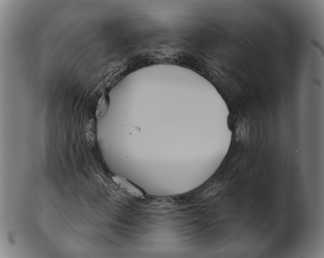 X0000100871156200807111311