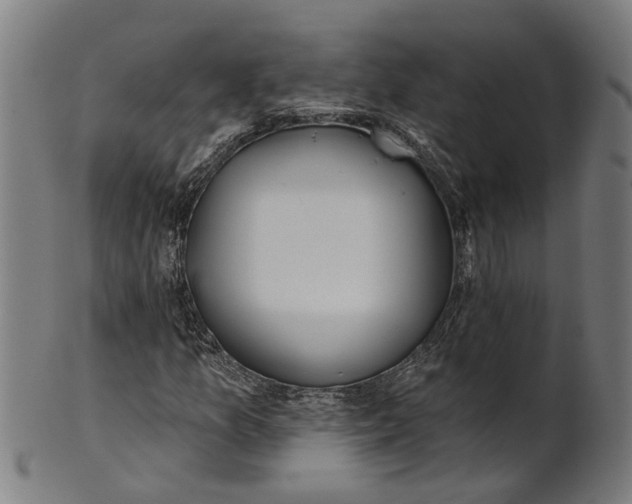 X0000100871157200807111311