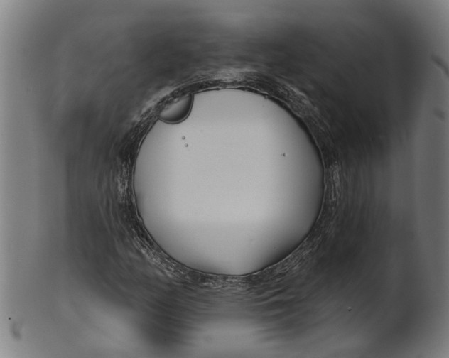 X0000100871158200807111311