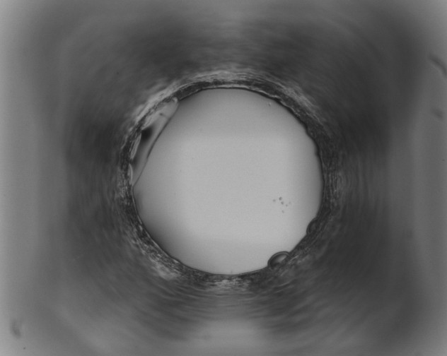 X0000100871160200807111310