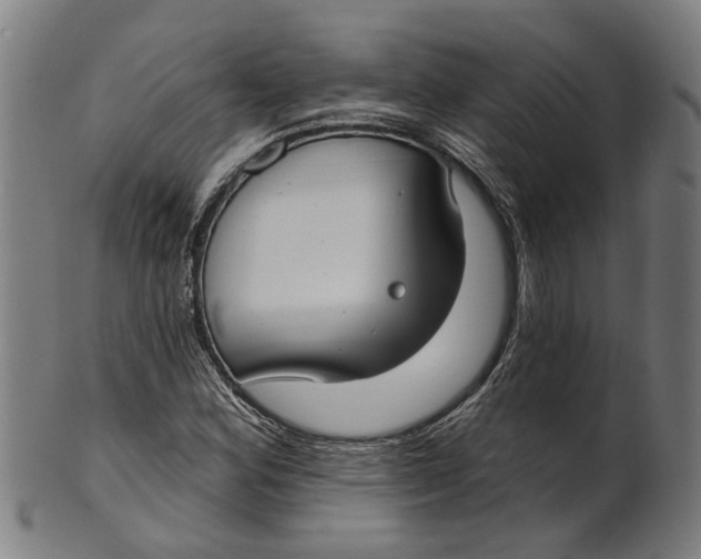 X0000100871164200807111310