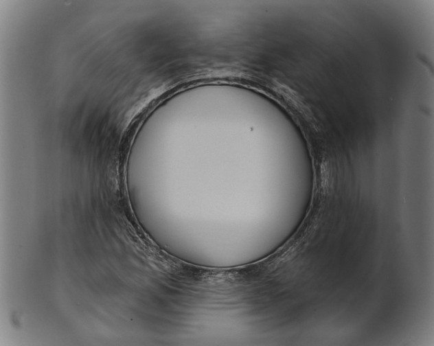 X0000100871165200807111310