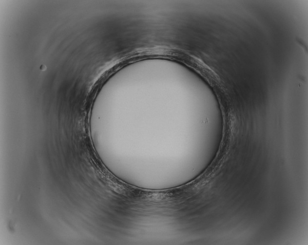 X0000100871166200807111310