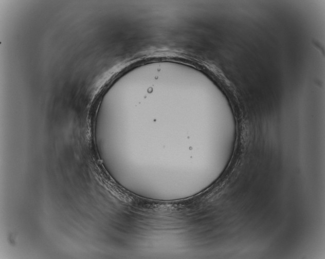 X0000100871167200807111310