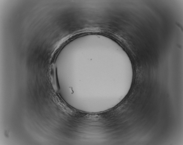 X0000100871168200807111310