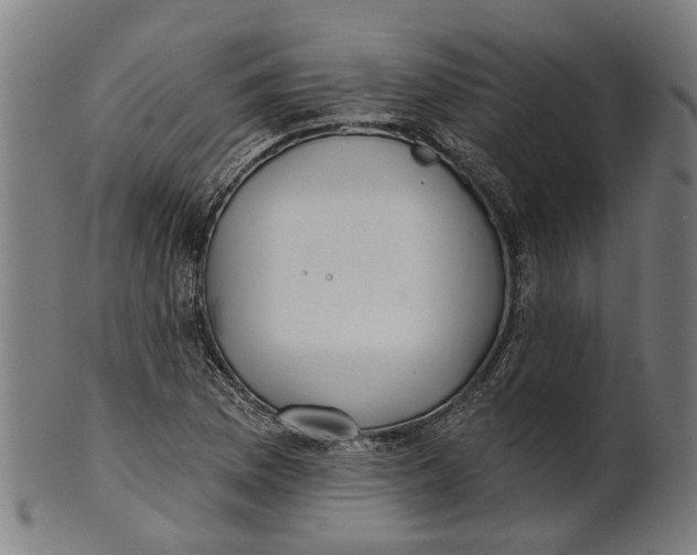 X0000100871169200807111310