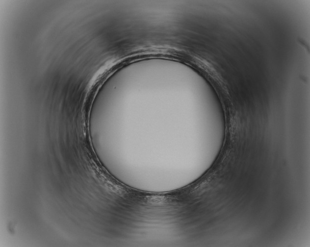 X0000100871172200807111310