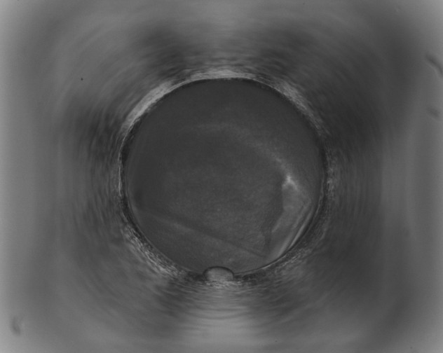 X0000100871173200807111310