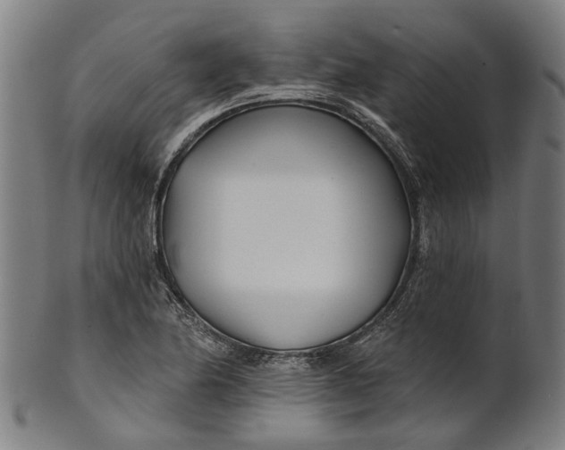 X0000100871174200807111310